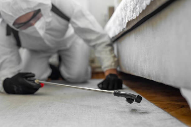 Professional Bed Bug Control technician working in Holley, FL